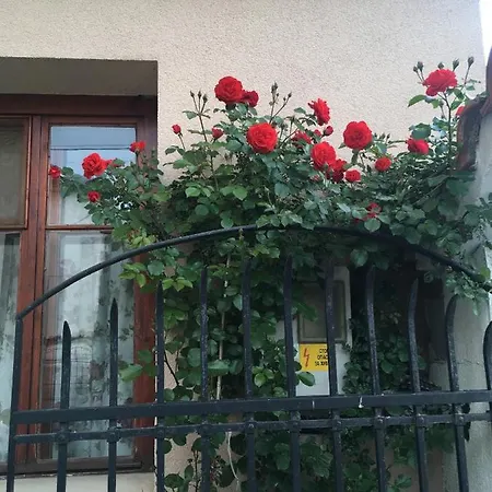 Apartment Willy Villy's House *